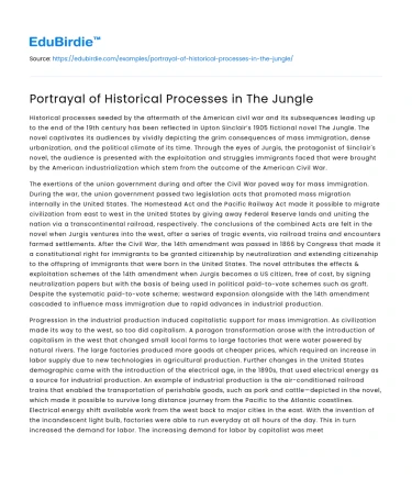 Portrayal of Historical Processes in The Jungle