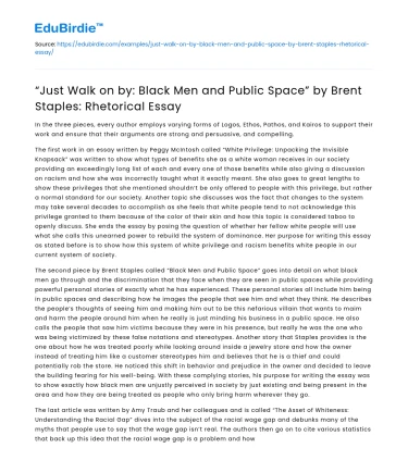 Black Men in Public Space: Rhetorical Essay