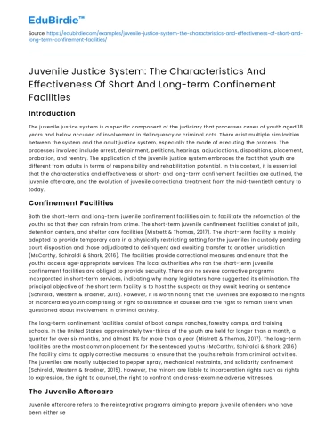 Characteristics and Effectiveness of Juvenile Confinement