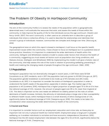 The Problem Of Obesity In Hartlepool Community