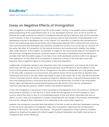Essay on Negative Effects of Immigration