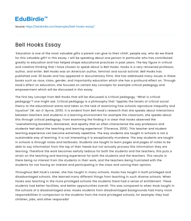 Bell Hooks Essay