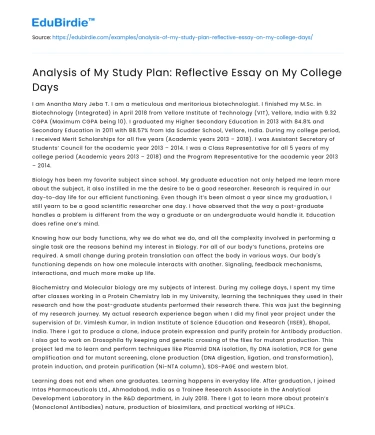 Analysis of My Study Plan: Reflective Essay on My College Days