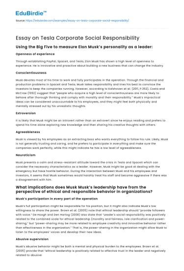 Essay on Tesla Corporate Social Responsibility