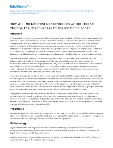 Impact of Tea Tree Oil Concentration on Inhibition Zone Size