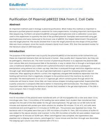Purification Of Plasmid pBR322 DNA From E. Coli Cells