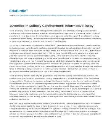 Juveniles in Solitary Confinement: Informative Essay
