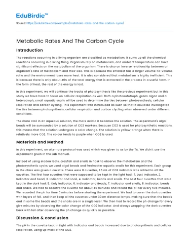 Metabolic Rates And The Carbon Cycle