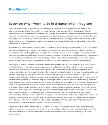 Essay on Why I Want to Be in a Nurse: Intern Program