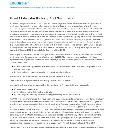Plant Molecular Biology and Genomic Innovations