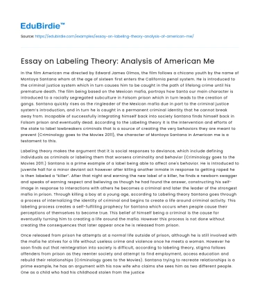 Essay on Labeling Theory: Analysis of American Me