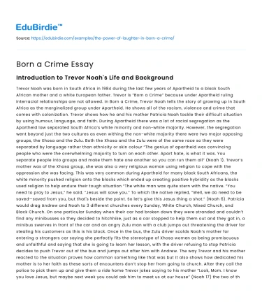 Born a Crime Essay