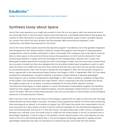 Synthesis Essay about Space
