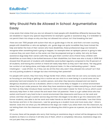 Why Should Pets Be Allowed in School: Argumentative Essay