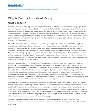 Why Is Culture Important: Essay