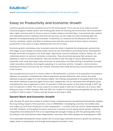 Essay on Productivity and Economic Growth