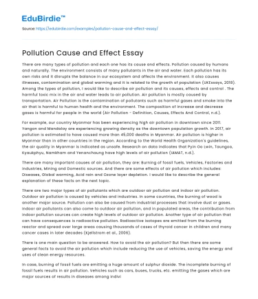 Pollution Cause and Effect Essay