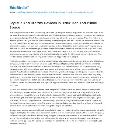 Stylistic And Literary Devices In Black Men And Public Space