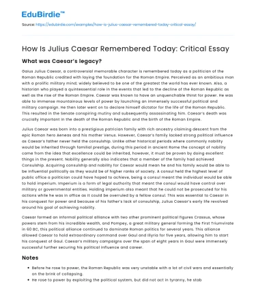 How Is Julius Caesar Remembered Today: Critical Essay