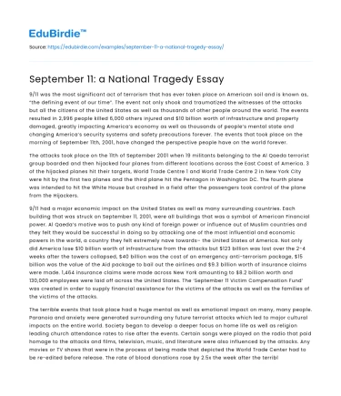 September 11: a National Tragedy Essay