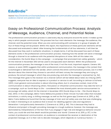 Professional Communication Analysis: Message, Audience, and Channel