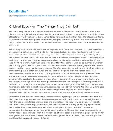 Critical Essay on ‘The Things They Carried’