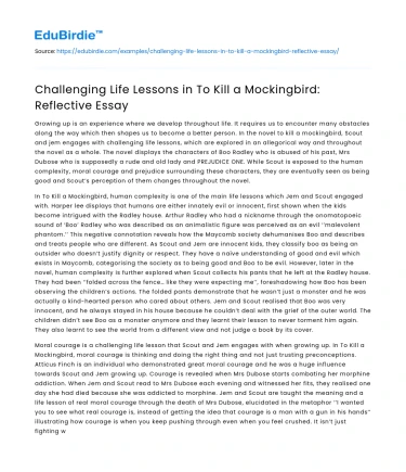 Challenging Life Lessons in To Kill a Mockingbird: Reflective Essay