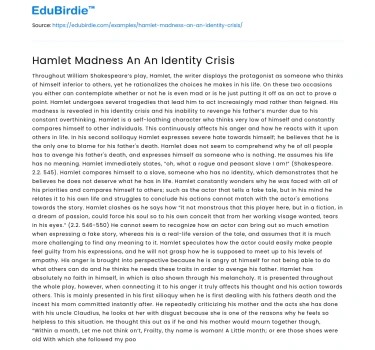 Hamlet Madness An An Identity Crisis