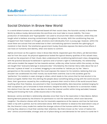 Social Division In Brave New World