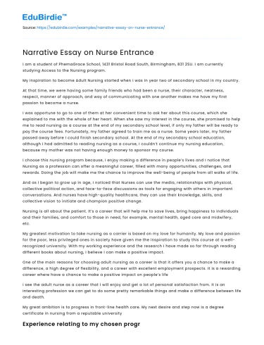 The Journey to Becoming a Nurse