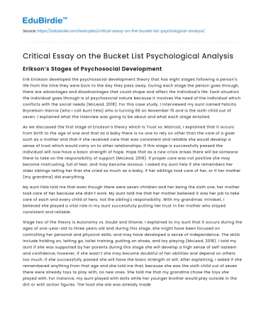 Critical Essay on the Bucket List Psychological Analysis
