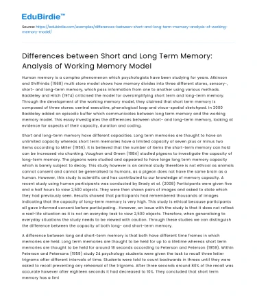 Short vs Long Term Memory: Working Memory Model Analysis
