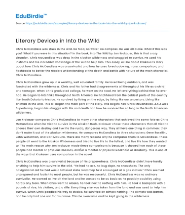 Literary Devices in Into the Wild