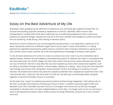 Essay on the Best Adventure of My Life