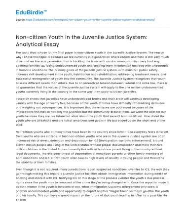 Non-citizen Youth in the Juvenile Justice System: Analytical Essay
