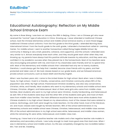 Educational Autobiography: Reflection on My Middle School Entrance Exam