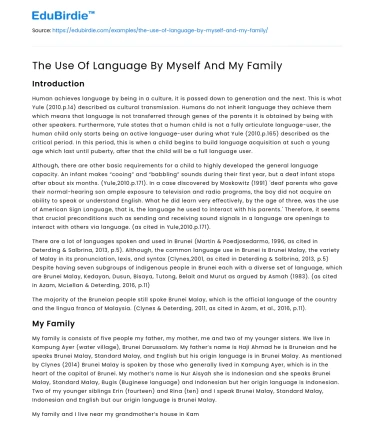 The Use Of Language By Myself And My Family