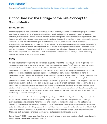 Critical Review: The Linkage of the Self-Concept to Social Media