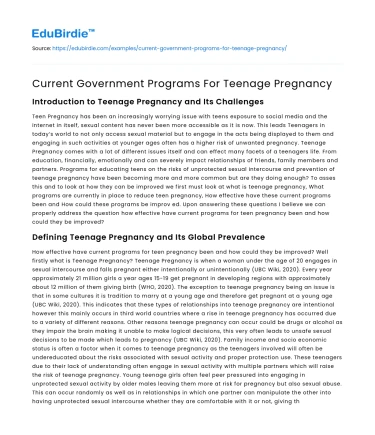 Current Government Programs For Teenage Pregnancy