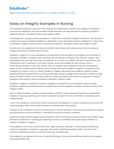 Essay on Integrity Examples in Nursing