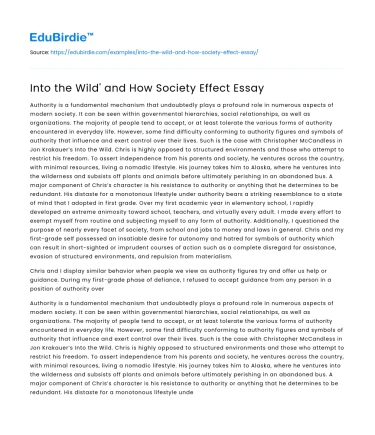 Into the Wild’ and How Society Effect Essay