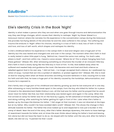 Elie’s Identity Crisis in the Book ‘Night’