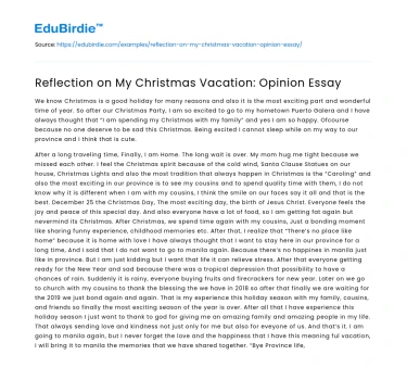 Reflective Analysis of My Holiday Experience