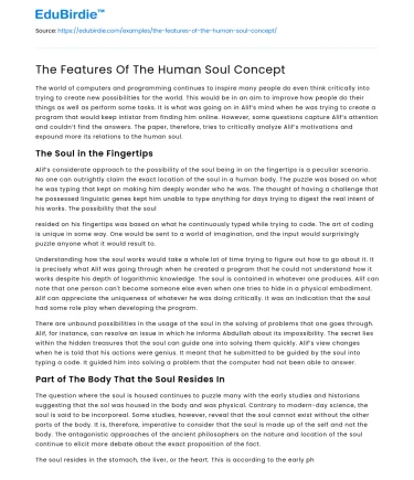 The Features Of The Human Soul Concept