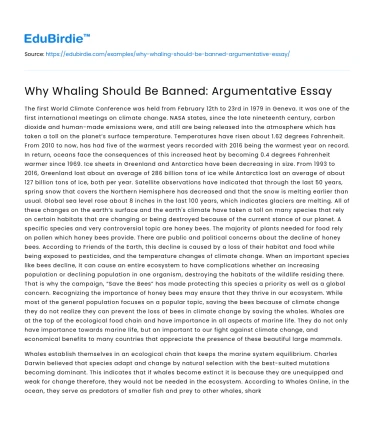 Why Whaling Should Be Banned: Argumentative Essay