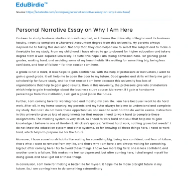 Narrative Journey: Reasons for My Presence