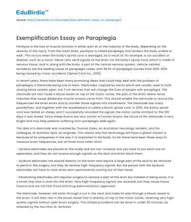 Exemplification Essay on Paraplegia