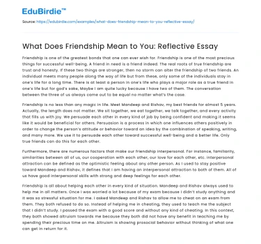 What Does Friendship Mean to You: Reflective Essay