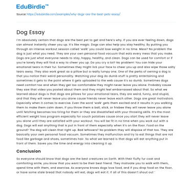 Why Dogs are The Best Pets