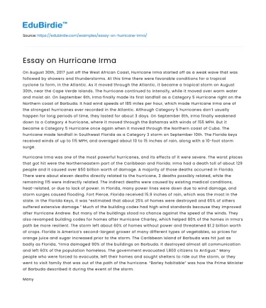 Essay on Hurricane Irma
